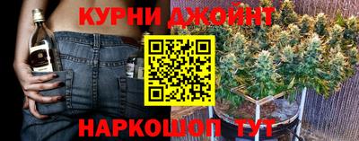 прущие грибы Пенза