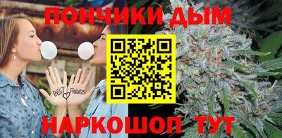 прущие грибы Пенза