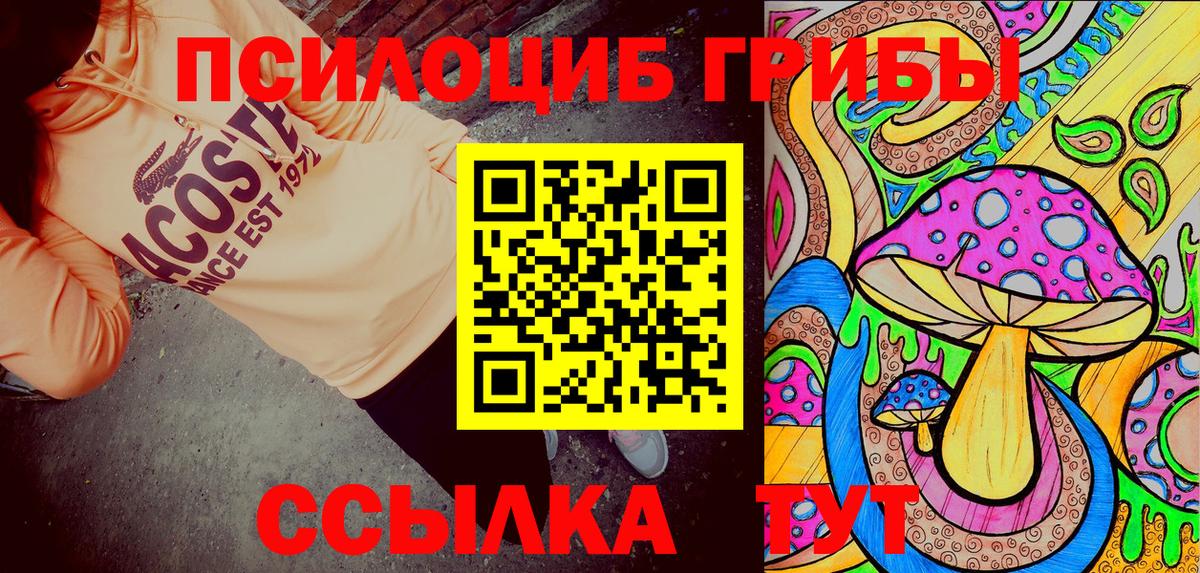 Рославль  Псилоцибиновые грибы прущие грибы  Вход с VPN 